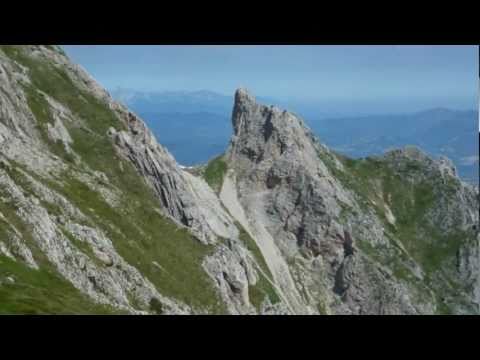 La flora delle montagne europee colpita dal riscaldamento climatico