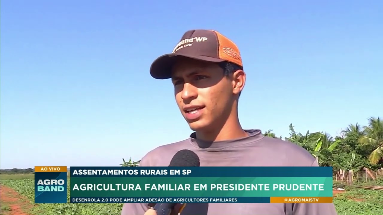 Assentamentos impulsionam produção rural