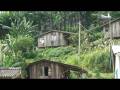 Aborigine Settlement