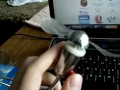 (uploaded by eXPyLT)&nbsp;USB LED Cooling Fan from DX