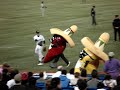 El Ranchero Chili Pepper Race 3