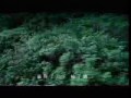 Richie ren - 天涯
