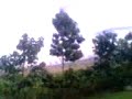 rewtreat