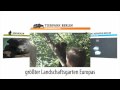 Mitten in Berlin präsentieren sich zwei tierische Oasen: Der Zoo Berlin mit seinem Aquarium oder der Tierpark Berlin im Schlosspark von Friedrichsfelde.