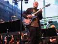 John Scofield - Enschede (May 27 2007)