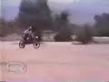 6 autenticos gilipollas