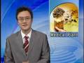 KBS News Today-080828