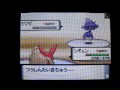 ??? vs ???? - Pokemon DP Wi-Fi battle movie ??? vs ???? - Pokemon DP Wi-Fi battle movie