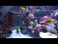 6 meter aquarium vlaardingen (OHC)