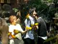 videos de IMGP3652 WMV V9