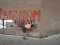 Parkour and freerun