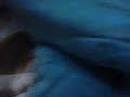 i was bored.. and i just got this kitty.. his name is whisers.. he's so cute!!
