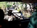 Gili Air - Lombok - Cidomo Ride