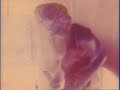 ANIMAL COLLECTIVE - GRASS