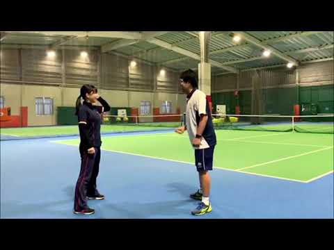 YouTube動画