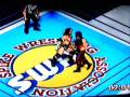 Fire Pro Wrestling D