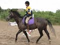 jj-kristen.html