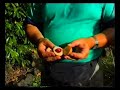 1995 Bali Banda Ambon-Perkanier van der Broeke-Groot Waling