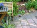 duif in onze tuin duif in onze tuin