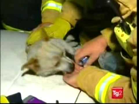 Vedi il video