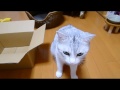 のにっき