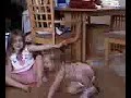 Video from My Phone (0523081847.3g2) Video from My Phone (0523081847.3g2)