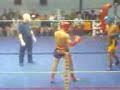 boxe thai dino japy 17 mars 07
