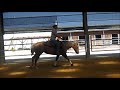 Click here to watch this video Really Nice Reining Mare *For Sale*