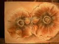 Muestra de Pintura Jeri Beleza