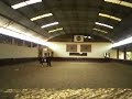 Brazil horses 6