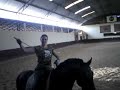 Brazil horses 6