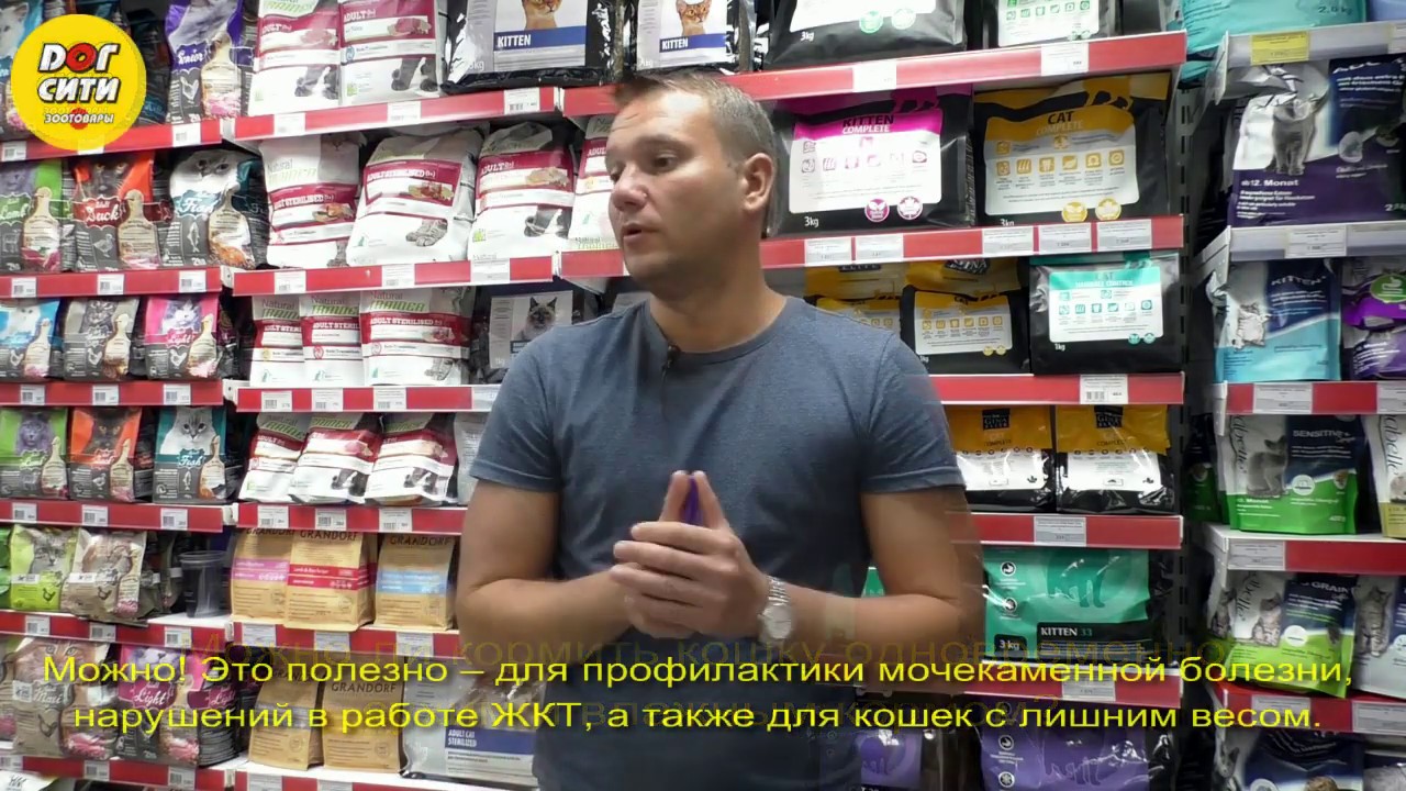 Можно ли кормить кошку одновременно сухим и влажным кормом