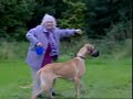 Gran walking the dog