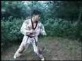 Taekwondo and Taekkyon trainee vs Taekkyon master