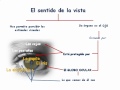 La Vista