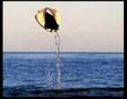 real-flying-manta