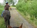Let That Be Enough - Switchfoot (Trail Ride With Mum)