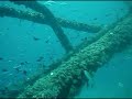 Miri Kenyalang Reef