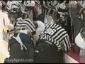 videos de NHL video