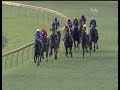 Royal Doctor ran 2nd at his first start at Hawkesbury