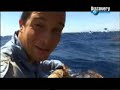 A Prueba de Todo :: Isla Desierta 5/6