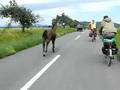 Boring road Hungary to Slovakia
