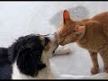Kenny G - Endless Love Kenny G - Endless Love