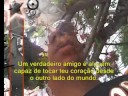 Elvis Leandro