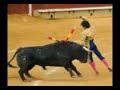 antitaurino