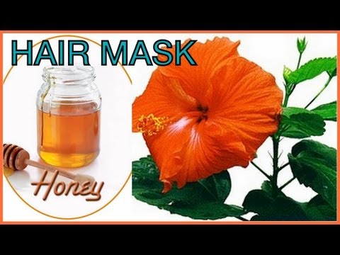 how to grow dog hair back