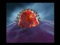 Beauty of Nature - Viruses