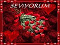 Selin Seni Seviyorum
