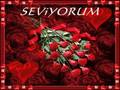 Selin Seni Seviyorum