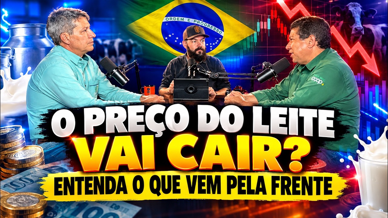 O PREÇO DO LEITE VAI CAIR? Entenda o que vem pela frente.